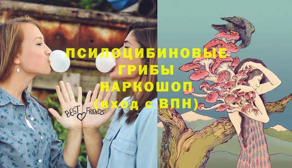 гидра Алзамай