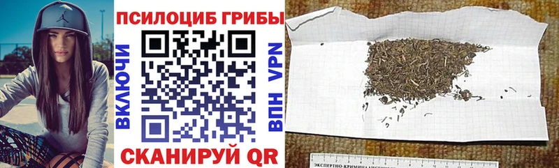 Псилоцибиновые грибы Cubensis  OMG tor  Ардатов 